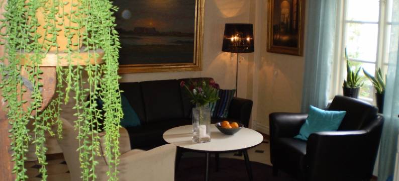 尼亚帕尔拉斯酒店(Nya Pallas Hotel)图片