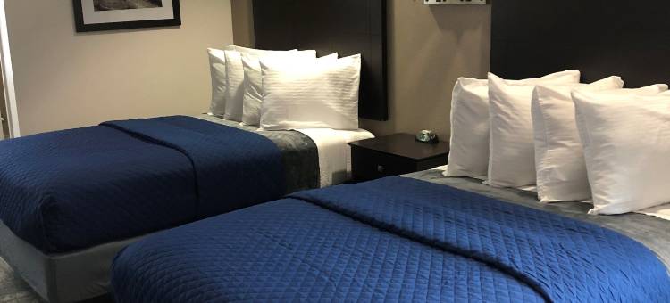 华金行政套房酒店(Executive Inn & Suites Joaquin)图片