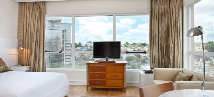 坎皮纳斯维多利亚概念酒店(Vitória Hotel Concept Campinas)图片