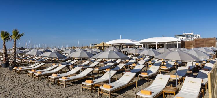 卡马格港塔拉苏尔 Spa 酒店(Thalazur Port-Camargue - Hotel & Spa)图片