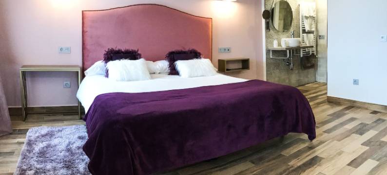 阿鲁蒂斯卡索娜乡村旅馆(La Casona de Alútiz & Bodega)图片