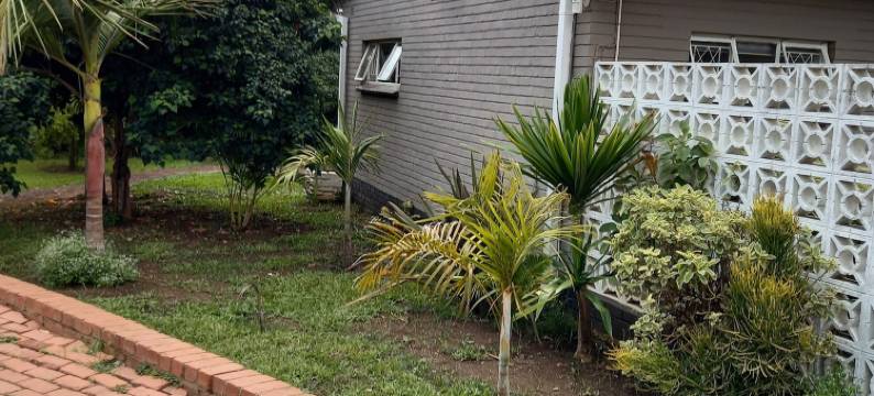 拉斯帕尔马斯旅馆(Las Palmas Guest House)图片