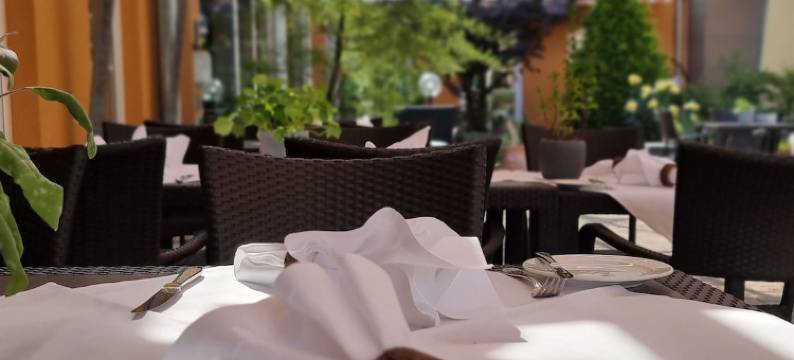 根根巴赫黑森林酒店(Schwarzwaldhotel Gengenbach)图片