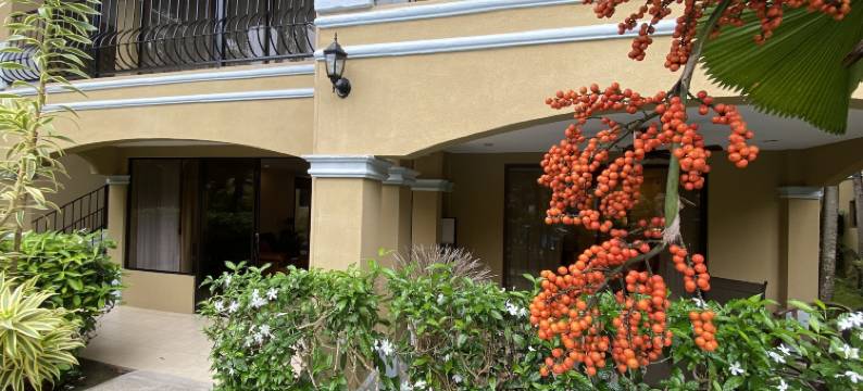 蒙特卡罗豪华公寓(Monte Carlo Luxury Condominiums)图片