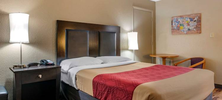 伊克诺旅馆-塞布林(Econo Lodge Sebring)图片