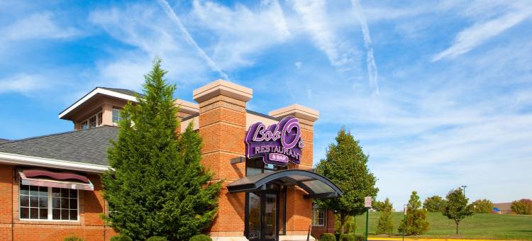 尚迪利杜勒斯世博机场假日酒店(Holiday Inn Chantilly-Dulles Expo (Arpt))图片