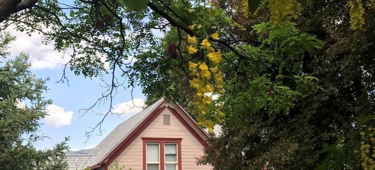 阿登森林旅馆(Arden Forest Inn)图片