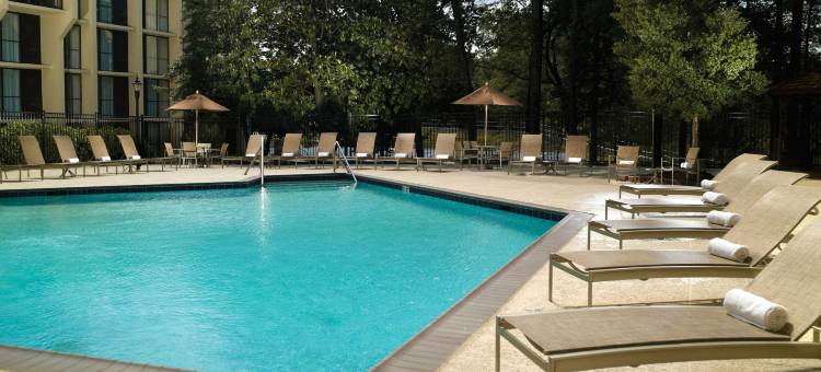 亚特兰大周界中心万豪酒店(Atlanta Marriott Perimeter Center)图片