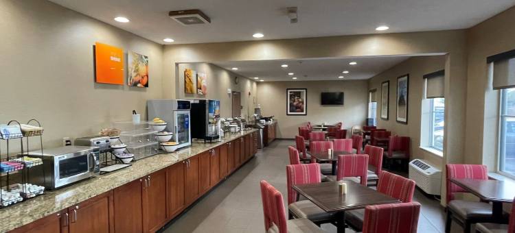 舒适酒店-北区/巴黎(Comfort Inn North-Polaris)图片