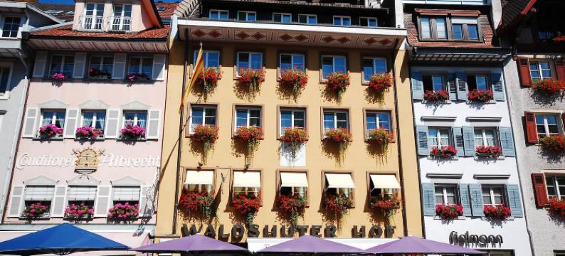 沃尔德舒特霍夫酒店(Waldshuter Hof)图片