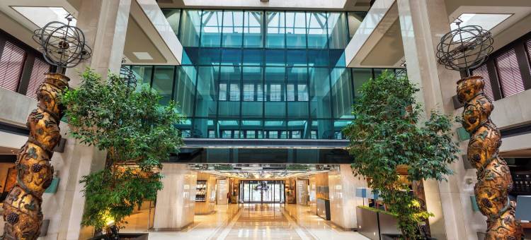 美利亚卡斯蒂利亚等级酒店(The Level at Melia Castilla)图片