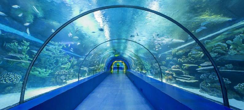 梅内城市酒店(Mene City Hotel)图片