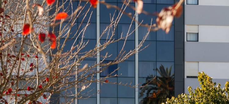 波尔图选择房间(Room Select Porto)图片