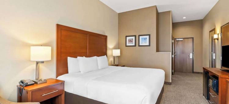 舒适套房酒店(Comfort Inn & Suites)图片