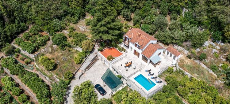 尼科别墅(Villa Niko)图片