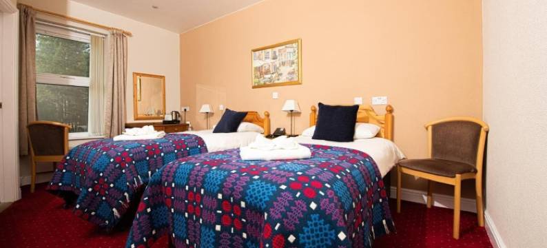 Tyn-y-Coed酒店(Tyn-y-Coed Inn)图片