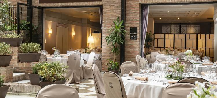 阿尔贝辛炜森酒店(Vincci Albayzin)图片