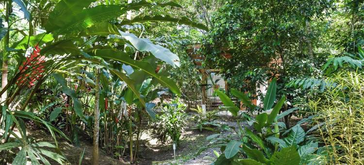 瑟塔旅馆(Satta Lodge)图片