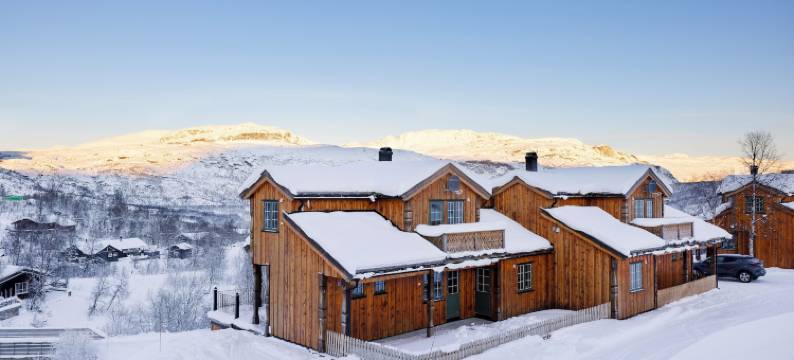 弗列菲尔斯特恩(Filefjellstuene Hytter og Leiligheter)图片