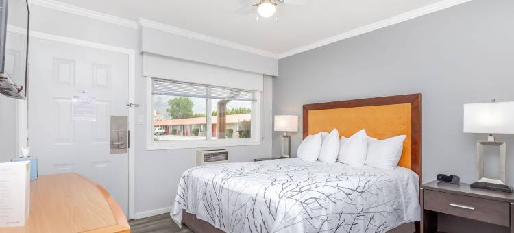 西岭汽车旅馆(Westridge Motor Inn)图片