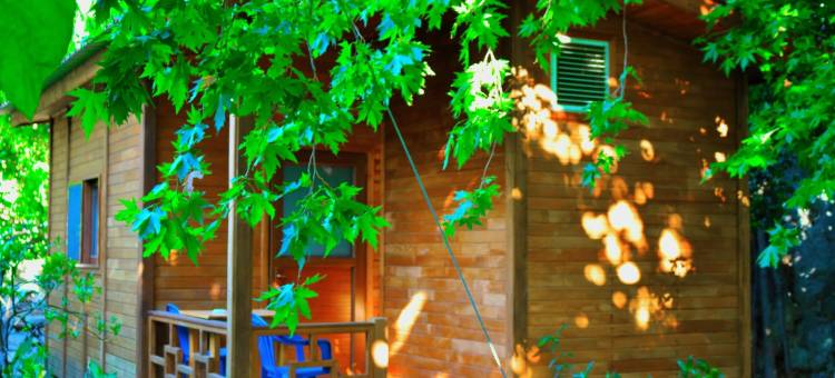 斯姆格旅馆(Simge Pension)图片