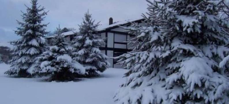 阿本德罗特酒店(Hotel Abendroth)图片