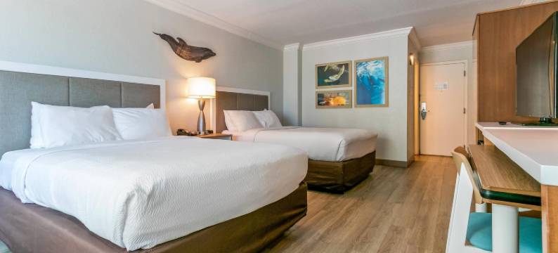 清水湾海豚沙滩Ascend精选酒店(Dolphin Sands Clearwater Beach, Ascend Hotel Collection)图片