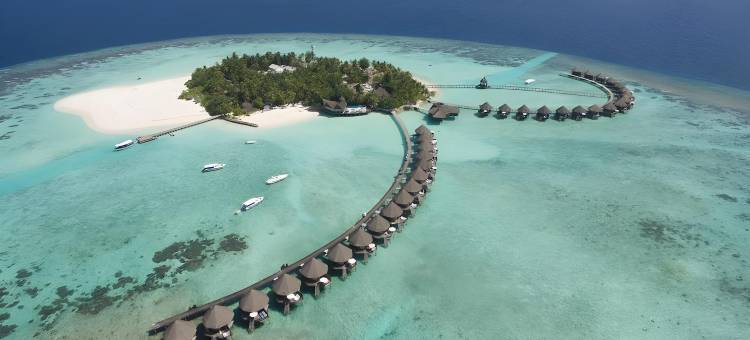 马尔代夫蓝色美人蕉岛水疗度假村(Thulhagiri Island Resort & Spa)图片