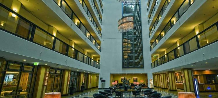 马里添酒店-德雷斯顿(Maritim Hotel Dresden)图片