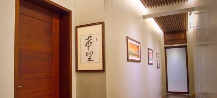 小隐日光图片