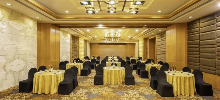 浦那卡拉迪丽笙酒店(Radisson Blu Hotel Pune Kharadi)图片