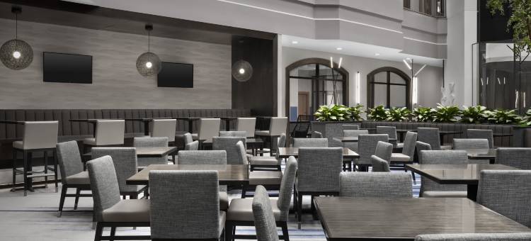 达拉斯希尔顿安泊套房酒店-近商业街廊(Embassy Suites by Hilton Dallas Near the Galleria)图片