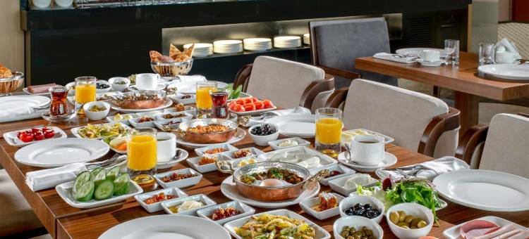 迪亚巴克尔瑞享酒店(Mövenpick Diyarbakir)图片