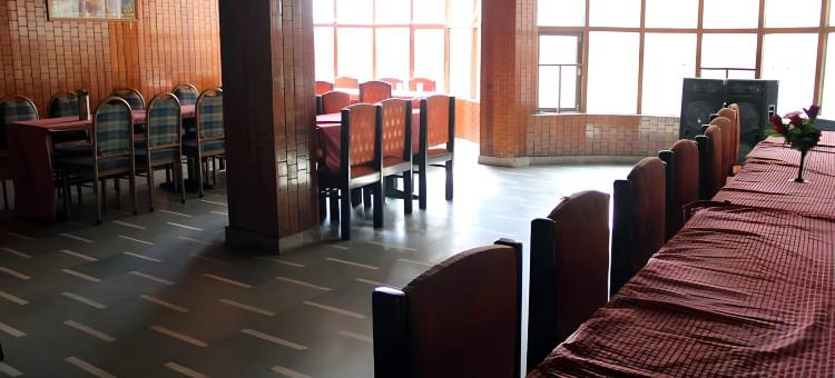 哈迪姆巴宫酒店(Hotel Hadimba Palace Manali)图片
