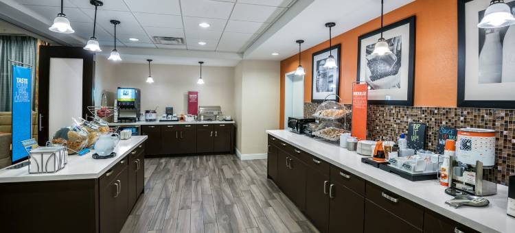 圣安东尼奥布鲁克斯城市基地希尔顿欢朋套房酒店(Hampton Inn & Suites San Antonio Brooks City Base Area)图片