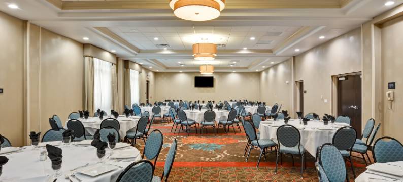 坦帕西北/奥尔兹马欢朋套房酒店(Hampton Inn & Suites Tampa Northwest/Oldsmar)图片