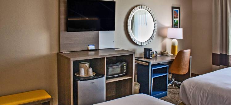 日内瓦西芝加哥舒适套房酒店(Comfort Inn & Suites Geneva- West Chicago)图片