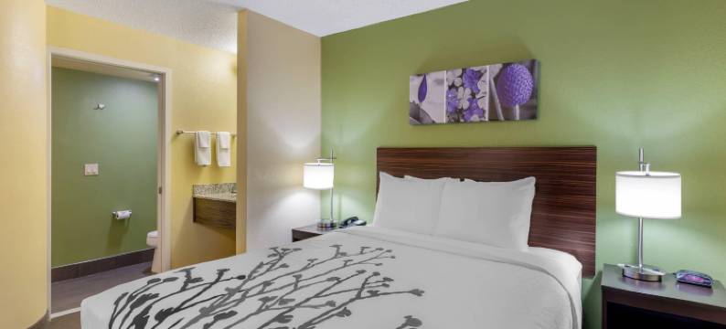 安眠酒店-丹佛科技中心(Sleep Inn Denver Tech Center)图片