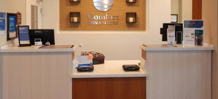 拉斯克鲁塞斯梅斯拉舒适套房酒店(Comfort Inn & Suites Las Cruces Mesilla)图片