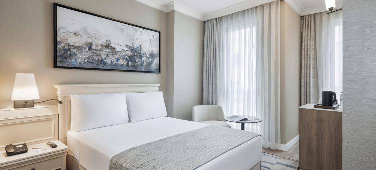 伊斯坦布尔塔克西姆精英世界舒适酒店(Elite World Comfy Istanbul Taksim)图片