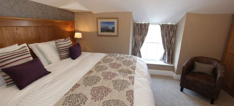 普拉斯因德雷酒店(Plas Yn Dre)图片