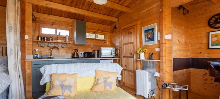 Pet-friendly chalet in Surlingham, No deposit图片