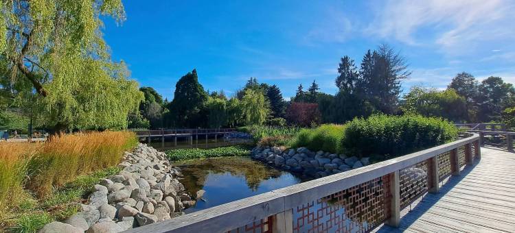 温哥华机场Comfort酒店(Comfort Hotel Vancouver Airport)图片