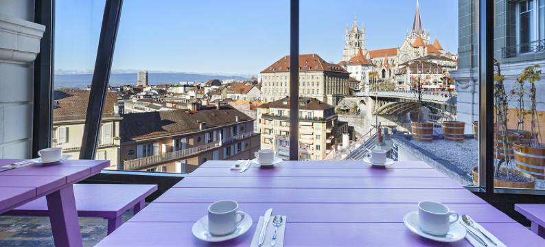 瑞士红酒酒店及酒吧-法斯宾德(Swiss Wine by Fassbind)图片