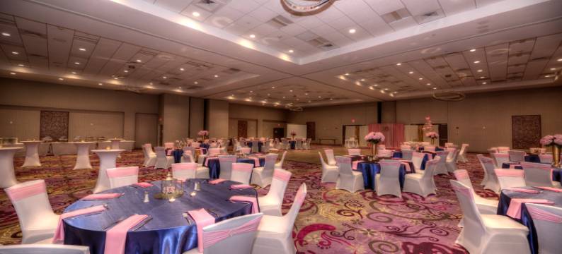 假日套房酒店-乔利埃特西南(Holiday Inn & Suites JOLIET SOUTHWEST by IHG)图片