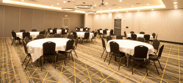 卡拉马祖西假日酒店(Holiday Inn & Suites Kalamazoo West)图片