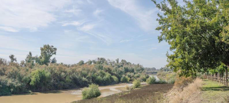 Apartment in Peñaflor with Charming Patio图片
