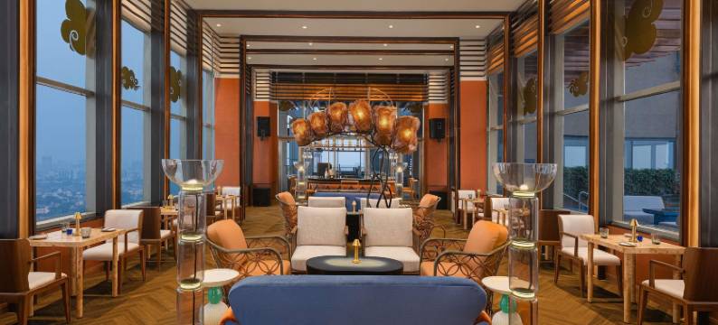 新德里市中心诺富特酒店(Novotel New Delhi City Centre)图片