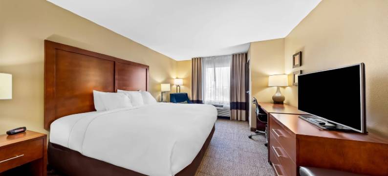 西医学中心舒适套房酒店(Comfort Inn & Suites West - Medical Center)图片