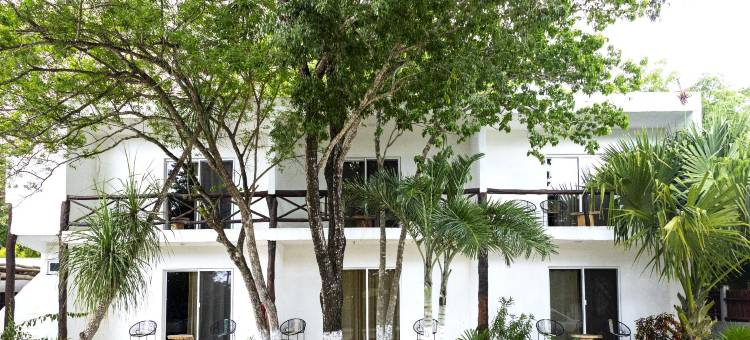 图兰龟屋酒店-塞诺特公园全包(Hotel Casa Tortuga Tulum - Cenotes Park Inclusive)图片